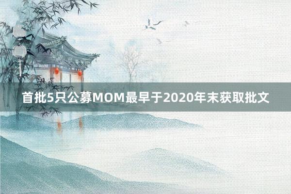 首批5只公募MOM最早于2020年末获取批文