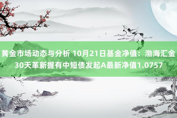 黄金市场动态与分析 10月21日基金净值：渤海汇金30天革新握有中短债发起A最新净值1.0757