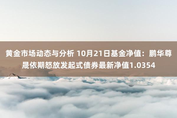 黄金市场动态与分析 10月21日基金净值：鹏华尊晟依期怒放发起式债券最新净值1.0354