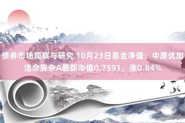 债券市场观察与研究 10月23日基金净值：中原优加活命羼杂A最新净值0.7591，涨0.84%