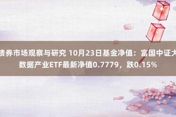 债券市场观察与研究 10月23日基金净值：富国中证大数据产业ETF最新净值0.7779，跌0.15%