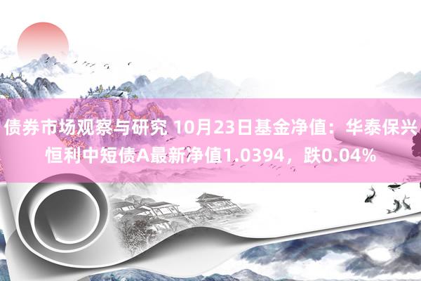 债券市场观察与研究 10月23日基金净值：华泰保兴恒利中短债A最新净值1.0394，跌0.04%