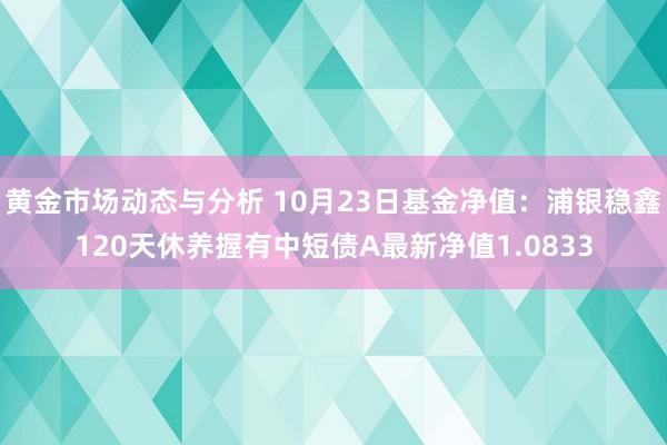 黄金市场动态与分析 10月23日基金净值：浦银稳鑫120天休养握有中短债A最新净值1.0833