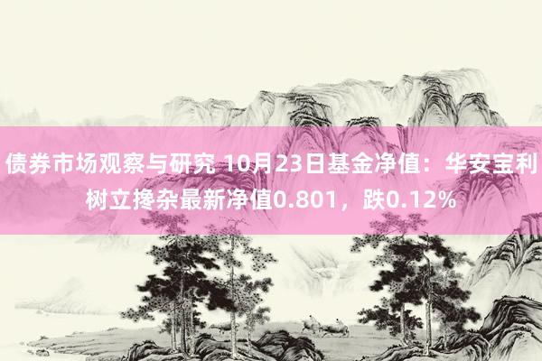 债券市场观察与研究 10月23日基金净值：华安宝利树立搀杂最新净值0.801，跌0.12%