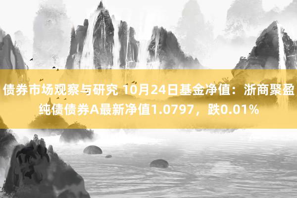 债券市场观察与研究 10月24日基金净值：浙商聚盈纯债债券A最新净值1.0797，跌0.01%