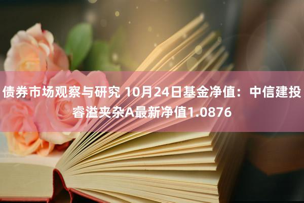 债券市场观察与研究 10月24日基金净值：中信建投睿溢夹杂A最新净值1.0876