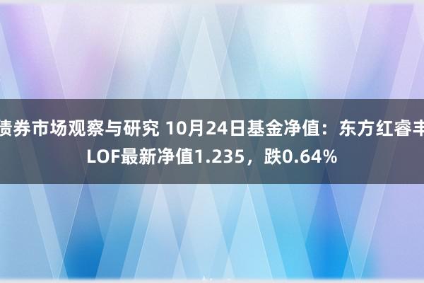 债券市场观察与研究 10月24日基金净值：东方红睿丰LOF最新净值1.235，跌0.64%