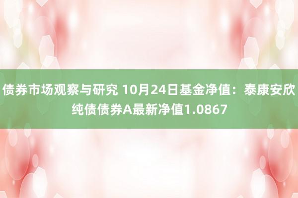 债券市场观察与研究 10月24日基金净值：泰康安欣纯债债券A最新净值1.0867