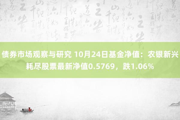 债券市场观察与研究 10月24日基金净值：农银新兴耗尽股票最新净值0.5769，跌1.06%