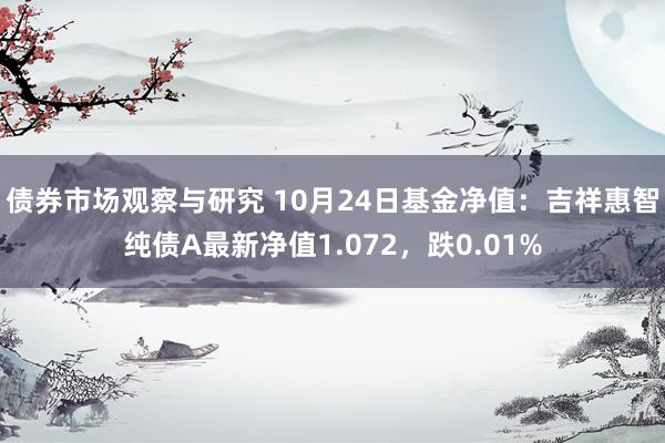 债券市场观察与研究 10月24日基金净值：吉祥惠智纯债A最新净值1.072，跌0.01%