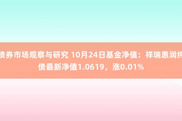 债券市场观察与研究 10月24日基金净值：祥瑞惠润纯债最新净值1.0619，涨0.01%