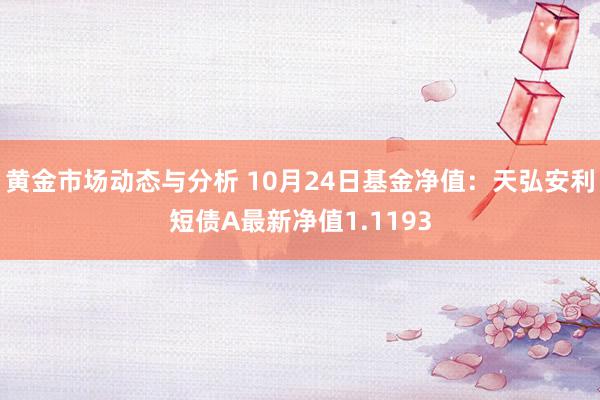 黄金市场动态与分析 10月24日基金净值：天弘安利短债A最新净值1.1193