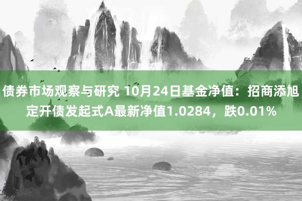 债券市场观察与研究 10月24日基金净值：招商添旭定开债发起式A最新净值1.0284，跌0.01%