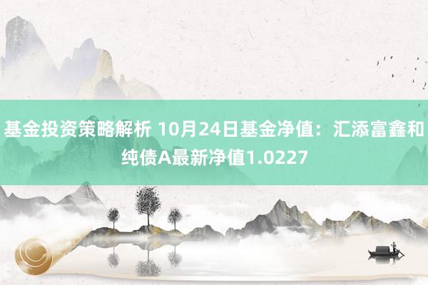 基金投资策略解析 10月24日基金净值：汇添富鑫和纯债A最新净值1.0227