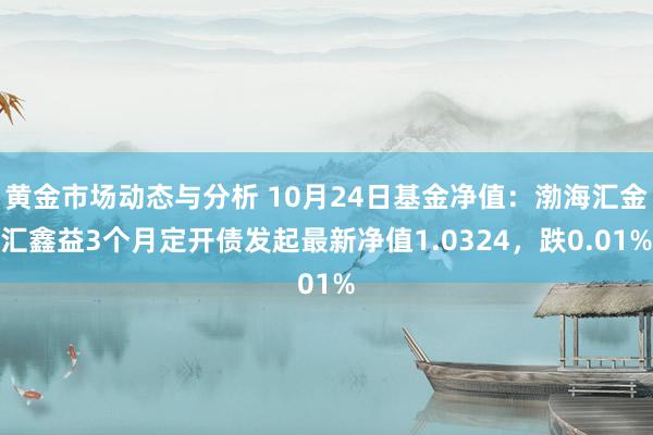 黄金市场动态与分析 10月24日基金净值：渤海汇金汇鑫益3个月定开债发起最新净值1.0324，跌0.01%