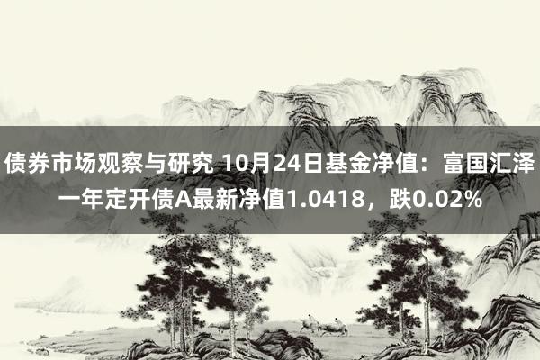 债券市场观察与研究 10月24日基金净值：富国汇泽一年定开债A最新净值1.0418，跌0.02%