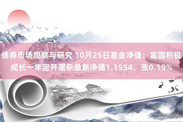 债券市场观察与研究 10月25日基金净值：富国积极成长一年定开混杂最新净值1.1554，涨0.19%