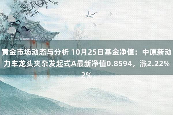 黄金市场动态与分析 10月25日基金净值：中原新动力车龙头夹杂发起式A最新净值0.8594，涨2.22%