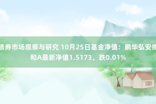 债券市场观察与研究 10月25日基金净值：鹏华弘安搀和A最新净值1.5173，跌0.01%