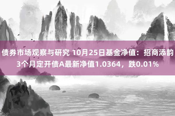 债券市场观察与研究 10月25日基金净值：招商添韵3个月定开债A最新净值1.0364，跌0.01%