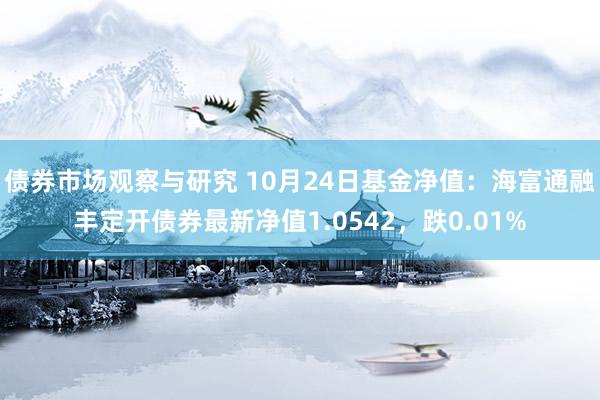 债券市场观察与研究 10月24日基金净值：海富通融丰定开债券最新净值1.0542，跌0.01%