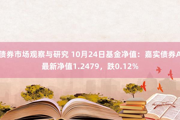 债券市场观察与研究 10月24日基金净值：嘉实债券A最新净值1.2479，跌0.12%