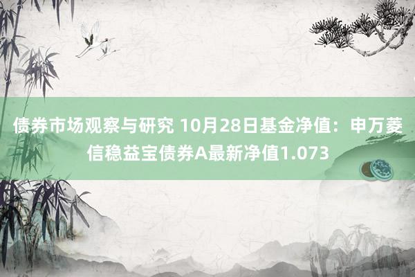 债券市场观察与研究 10月28日基金净值：申万菱信稳益宝债券A最新净值1.073