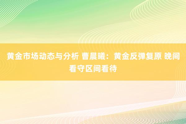 黄金市场动态与分析 曹晨曦：黄金反弹复原 晚间看守区间看待