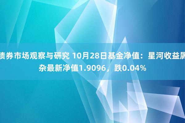 债券市场观察与研究 10月28日基金净值：星河收益羼杂最新净值1.9096，跌0.04%