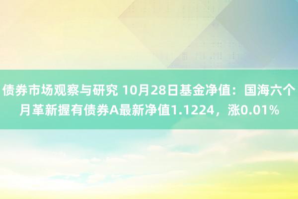 债券市场观察与研究 10月28日基金净值：国海六个月革新握有债券A最新净值1.1224，涨0.01%