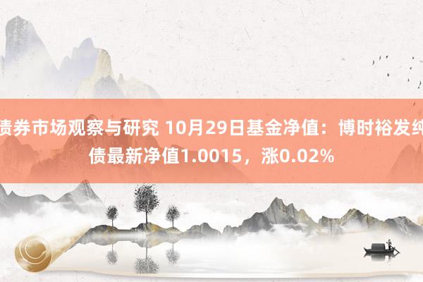 债券市场观察与研究 10月29日基金净值：博时裕发纯债最新净值1.0015，涨0.02%