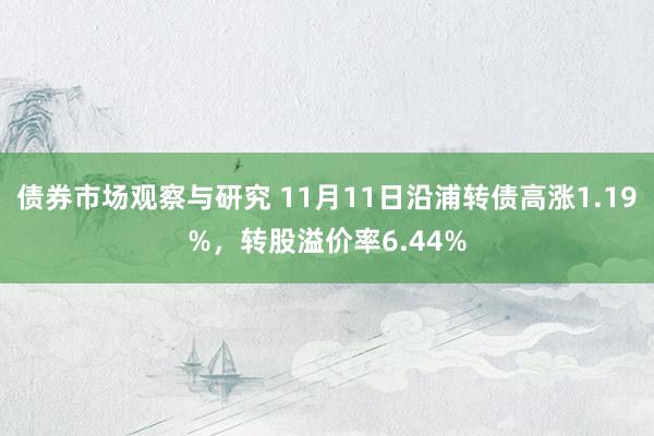 债券市场观察与研究 11月11日沿浦转债高涨1.19%，转股溢价率6.44%