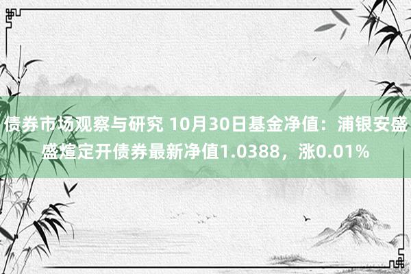 债券市场观察与研究 10月30日基金净值：浦银安盛盛煊定开债券最新净值1.0388，涨0.01%