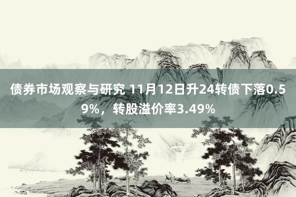 债券市场观察与研究 11月12日升24转债下落0.59%，转股溢价率3.49%