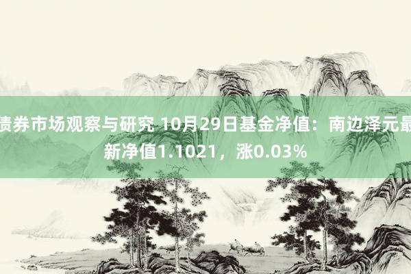 债券市场观察与研究 10月29日基金净值：南边泽元最新净值1.1021，涨0.03%