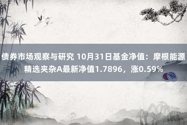 债券市场观察与研究 10月31日基金净值：摩根能源精选夹杂A最新净值1.7896，涨0.59%