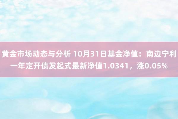 黄金市场动态与分析 10月31日基金净值：南边宁利一年定开债发起式最新净值1.0341，涨0.05%