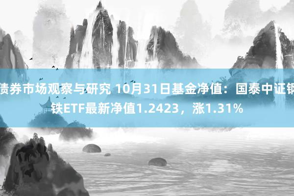 债券市场观察与研究 10月31日基金净值：国泰中证钢铁ETF最新净值1.2423，涨1.31%