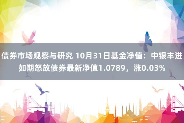 债券市场观察与研究 10月31日基金净值：中银丰进如期怒放债券最新净值1.0789，涨0.03%