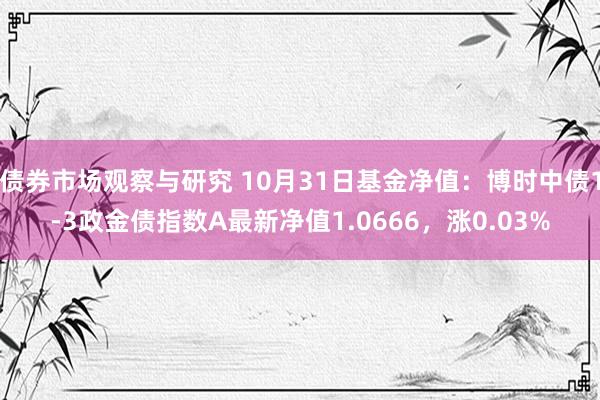 债券市场观察与研究 10月31日基金净值：博时中债1-3政金债指数A最新净值1.0666，涨0.03%