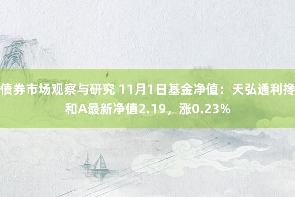 债券市场观察与研究 11月1日基金净值：天弘通利搀和A最新净值2.19，涨0.23%