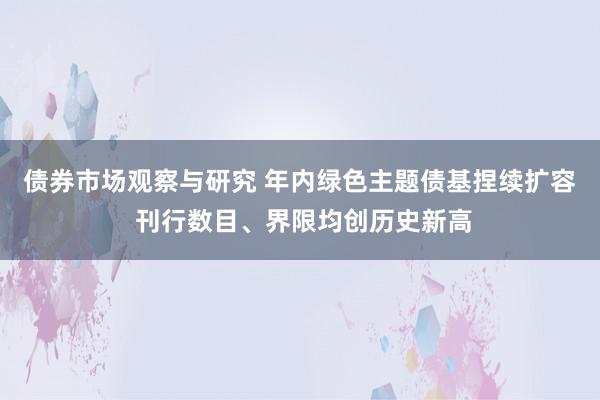 债券市场观察与研究 年内绿色主题债基捏续扩容 刊行数目、界限均创历史新高