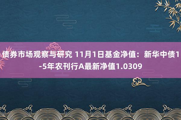 债券市场观察与研究 11月1日基金净值：新华中债1-5年农刊行A最新净值1.0309