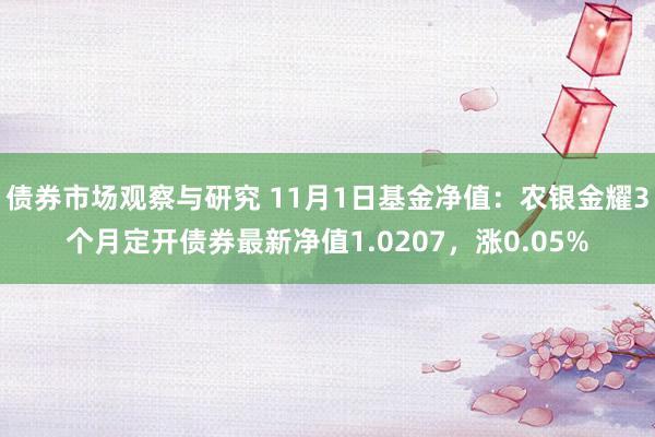 债券市场观察与研究 11月1日基金净值：农银金耀3个月定开债券最新净值1.0207，涨0.05%