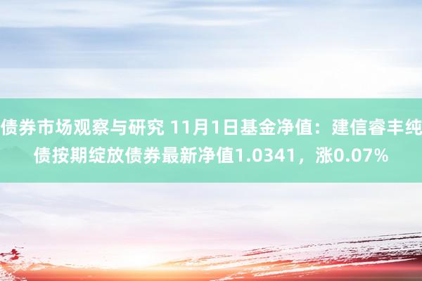 债券市场观察与研究 11月1日基金净值：建信睿丰纯债按期绽放债券最新净值1.0341，涨0.07%