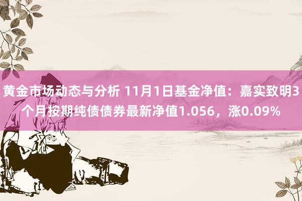 黄金市场动态与分析 11月1日基金净值：嘉实致明3个月按期纯债债券最新净值1.056，涨0.09%