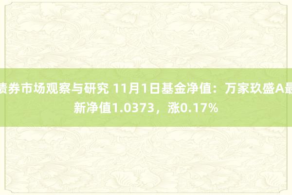 债券市场观察与研究 11月1日基金净值：万家玖盛A最新净值1.0373，涨0.17%