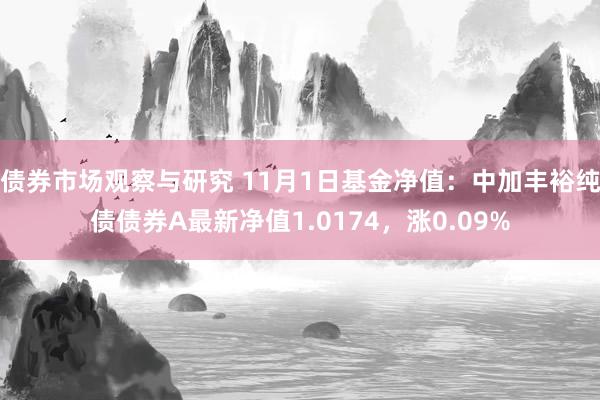 债券市场观察与研究 11月1日基金净值：中加丰裕纯债债券A最新净值1.0174，涨0.09%