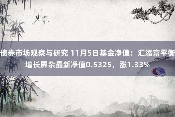 债券市场观察与研究 11月5日基金净值：汇添富平衡增长羼杂最新净值0.5325，涨1.33%