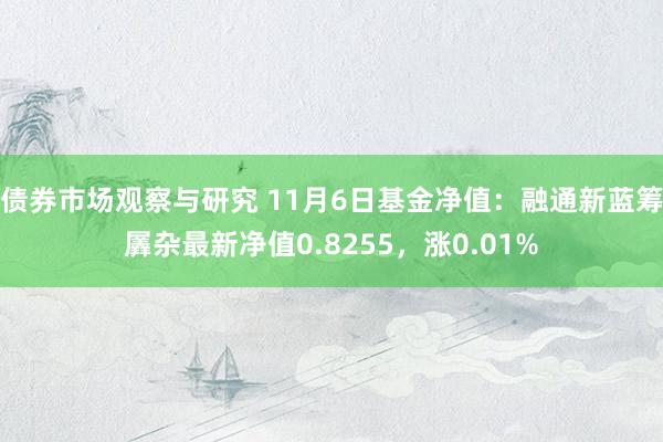 债券市场观察与研究 11月6日基金净值：融通新蓝筹羼杂最新净值0.8255，涨0.01%